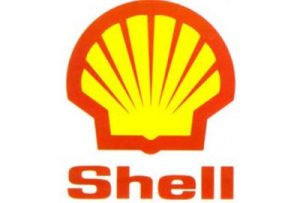Home cropped shell.jpg